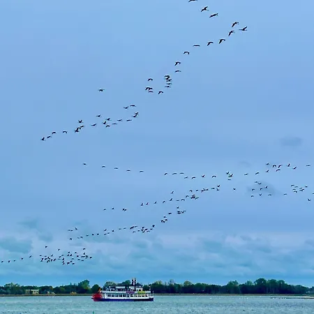 아파트 Parkresidenz Am Hafen Hf 12 - Luftsnappers