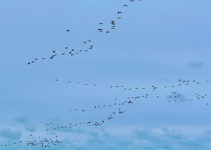 アパート Parkresidenz Am Hafen Hf 12 - Luftsnappers